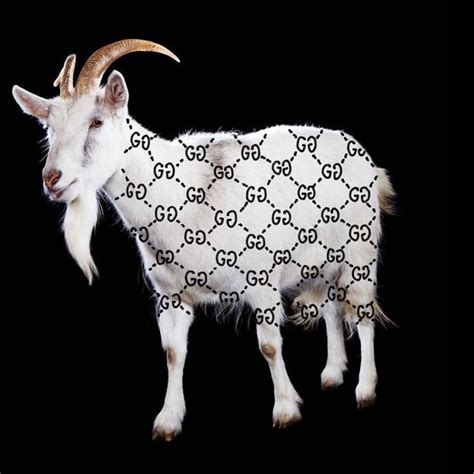 gucci goat